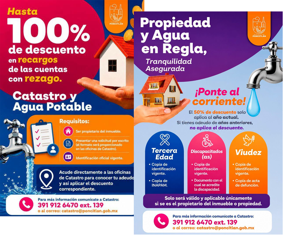 Descripción de la imagen